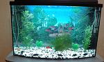     
: 20150111_220411.jpg
: 23
:	144.9 
ID:	9273856