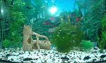    
: 20150115_104629.jpg
: 17
:	167.8 
ID:	9273858
