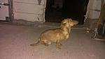     
: IMAG0795.jpg
: 37
:	81.2 
ID:	9274098