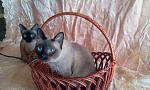     
: 2014-05-13 11.21.46.jpg
: 12
:	149.4 
ID:	9281188
