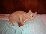     
: DSC01142.JPG
: 42
:	69.2 
ID:	928284