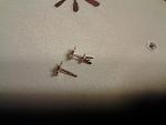    
: 20150118_231758.jpg
: 22
:	128.9 
ID:	9283897