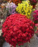     
: 8.11 (21).jpg
: 4
:	145.6 
ID:	9292163