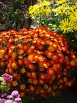     
: 8.11 (20).jpg
: 5
:	112.8 
ID:	9292175