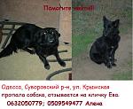     
: 231bd4f3f96cade35375b124c669b0d8.jpg
: 32
:	130.7 
ID:	9302923