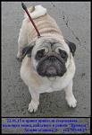     
: 1IMG_9414.jpg
: 23
:	50.7 
ID:	9303164