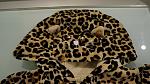     
: DSC02697.jpg
: 36
:	113.8 
ID:	9304530