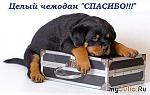     
: 1b1e34f1dcc1ddcb85414fa272b.jpg
: 50
:	38.6 
ID:	9307172