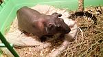     
: 20150124_221316.jpg
: 6
:	125.7 
ID:	9308260