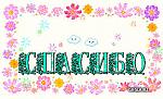     
: images.jpg
: 42
:	19.6 
ID:	9308631