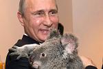     
: ny-putin-koala.jpg
: 171
:	39.0 
ID:	9314440