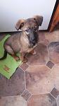     
: 20150126_125018.jpg
: 17
:	57.7 
ID:	9314483