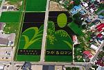     
: 1214055429_rice_art14.jpg
: 31
:	46.0 
ID:	931724