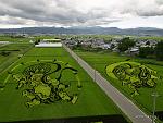     
: 1214055491_ine06.jpg
: 35
:	57.9 
ID:	931731