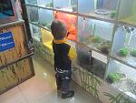     
: IMG_7479.jpg
: 45
:	128.1 
ID:	9318433