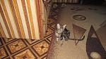     
: IMG_3521.jpg
: 4
:	149.3 
ID:	9324137