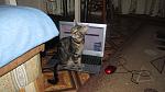    
: IMG_3525.jpg
: 4
:	109.4 
ID:	9324143