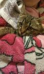     
: 1422391676012.jpg
: 5
:	48.6 
ID:	9327384