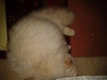     
: mVjKr4NKcFc.jpg
: 11
:	79.4 
ID:	9327512