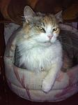    
: IMG_1767.jpg
: 15
:	74.0 
ID:	9328945