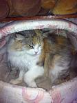     
: IMG_1768.jpg
: 12
:	98.7 
ID:	9328948