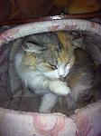     
: IMG_1769.jpg
: 13
:	97.1 
ID:	9328949
