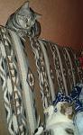     
: 20150129_213731-1.jpg
: 29
:	91.0 
ID:	9331809
