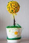     
: IMG_6473.jpg
: 16
:	79.5 
ID:	9332693