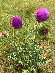     
: DSC_1229.jpg
: 2
:	257.0 
ID:	9333864