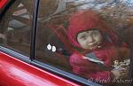     
: DSC08546.jpg
: 41
:	88.5 
ID:	9334823