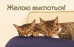     
: images_744.jpg
: 22
:	59.3 
ID:	9337473