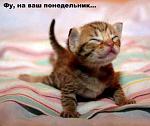     
: 1176170191_tonnel.jpg
: 27
:	25.3 
ID:	934424
