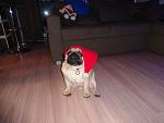     
: DSC00485.jpg
: 44
:	99.1 
ID:	9346267