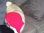    
: DSC00491.jpg
: 39
:	165.1 
ID:	9346269