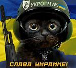    
: 1421709416_1.jpeg
: 16
:	47.1 
ID:	9347160