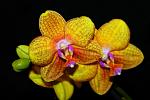     
: jH5ADvUvj6I.jpg
: 25
:	143.5 
ID:	9350551