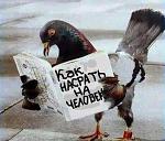     
: как насрать.jpg
: 11
:	30.9 
ID:	9355926