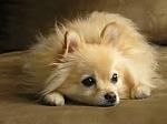     
: images (2).jpg
: 51
:	5.0 
ID:	9356338