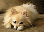     
: images (6).jpg
: 9
:	5.7 
ID:	9356466