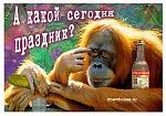    
: gorila.jpg
: 17
:	47.1 
ID:	93568