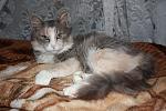     
: IMG_8350.jpg
: 8
:	114.6 
ID:	9358102