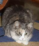     
: IMG_8377.jpg
: 7
:	95.0 
ID:	9358103