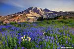     
: 1307444954_1.jpg
: 12
:	112.3 
ID:	9359118