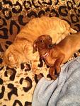     
: wkIpnzq3o1U.jpg
: 11
:	190.3 
ID:	9360607