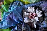     
: DSC_0169.jpg
: 12
:	65.5 
ID:	9360679