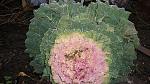     
: DSC06067.jpg
: 12
:	151.6 
ID:	9363384