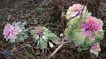     
: DSC06065.jpg
: 14
:	233.8 
ID:	9363385