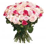     
: 106e16620a15ffb822e0775000843c24.jpeg
: 61
:	68.8 
ID:	9363631