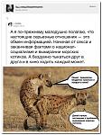     
: 7628d0.jpg
: 38
:	192.5 
ID:	9364083