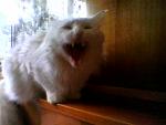     
: Photo-0506.jpg
: 19
:	25.3 
ID:	936448
